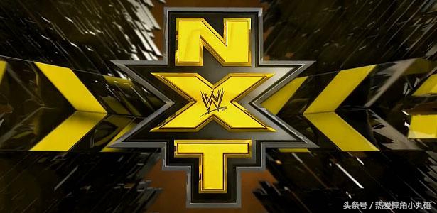 圣盾3个台柱,为什么圣盾三人组罗曼当台柱