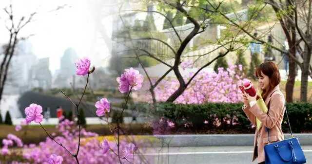 除了代购如何购买到正宗的护肤品,除了韩国代购还能在哪里买化妆品