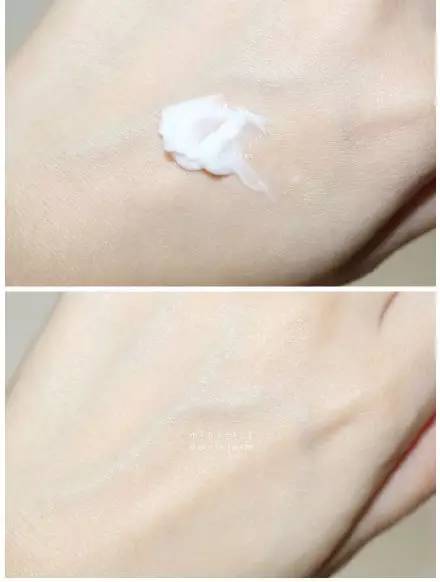 大白菜的高端牌子,口碑最好的大白菜有哪些品种