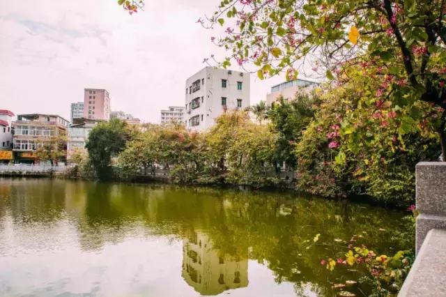 西乡县各乡镇的故事,西乡有什么故事