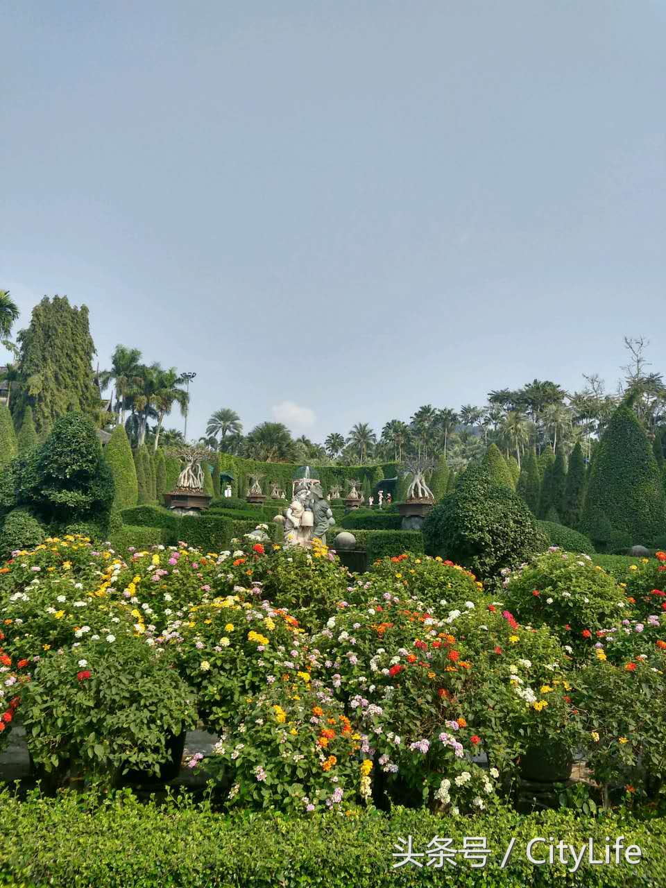 泰国芭堤雅东芭乐园,泰国芭提雅东芭公园
