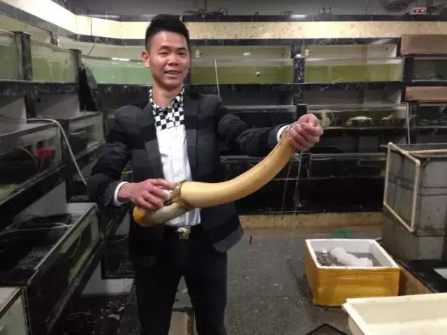 长沙宠物蜥蜴品种有哪些,别人家养的宠物蜥蜴食肉动物