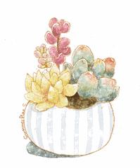 谁站在远方的田野，为你谱写一曲曼珠沙华