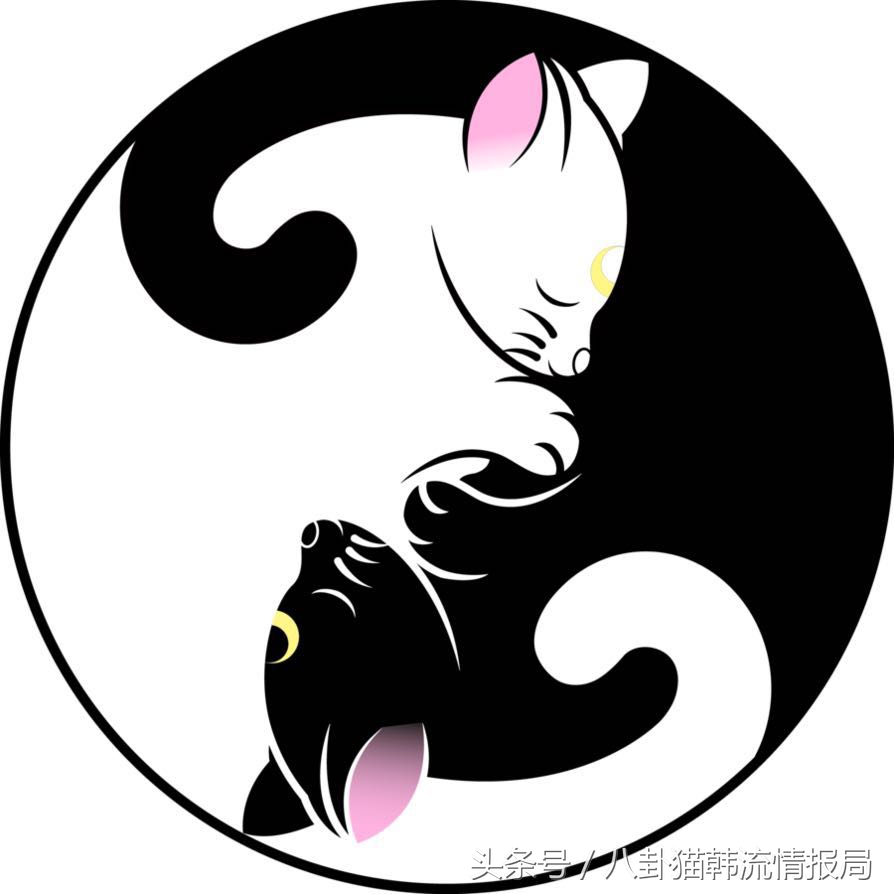 韩星热捧的choppybang刘海是个什么鬼？你敢挑战吗？