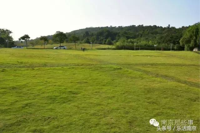 南京梅花赏花游记,好玩的摘草莓胜地打卡