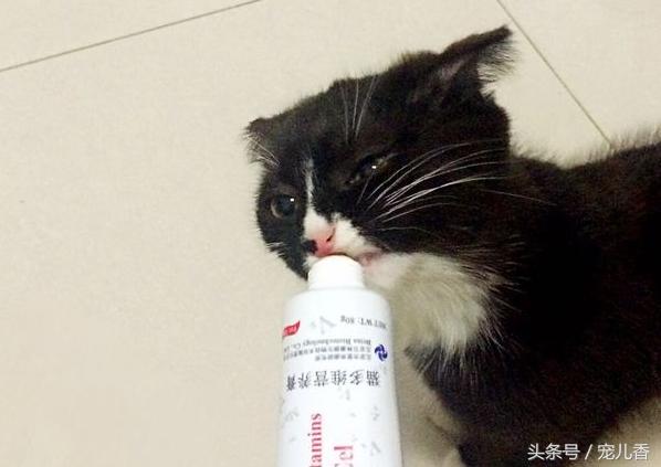 宠物缺微量元素怎么补,微量元素少却作用很大