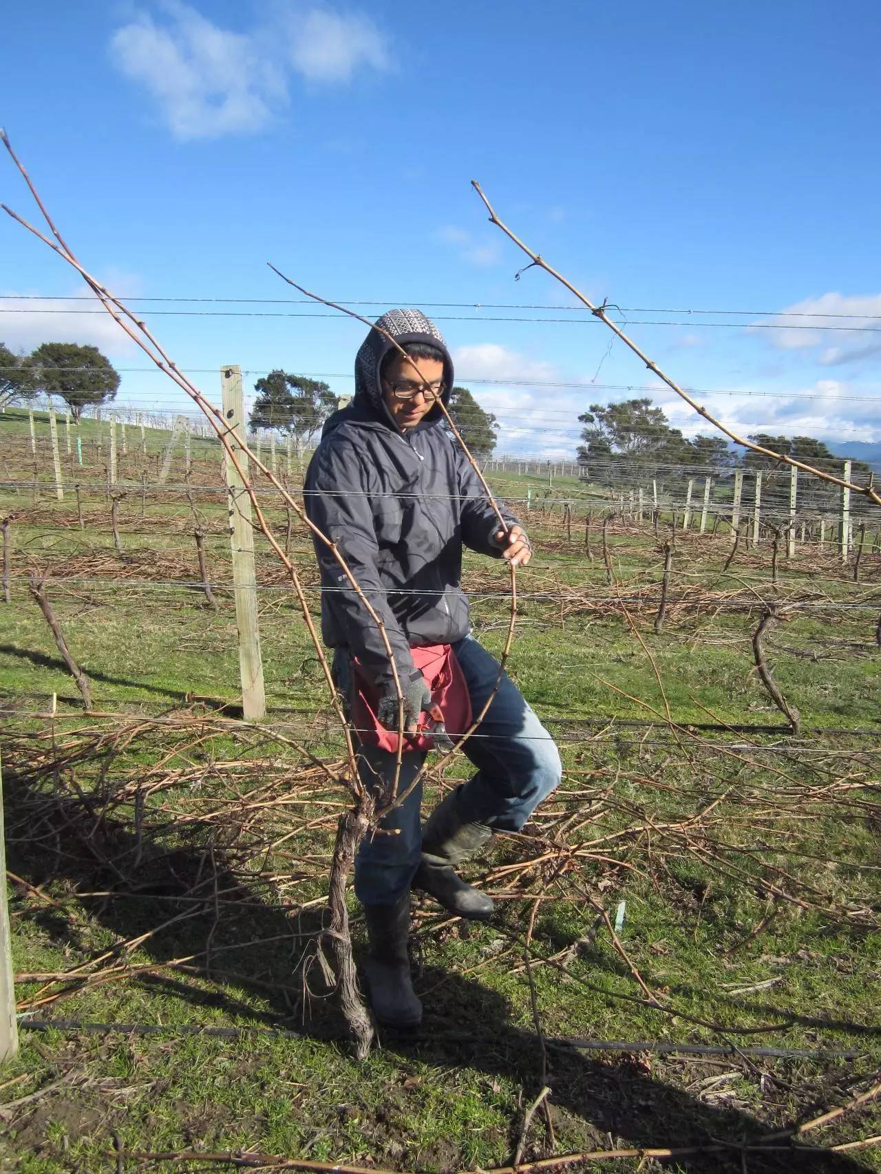 新西兰十大高收入工种排行,新西兰最赚钱的十大职业