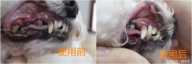 瓒呭０娉㈡礂鐗欑鍣ㄧ湡鐨勫ソ鐢ㄥ悧,瓒呭０娉㈡礂鐗欑鍣ㄩ潬璋卞悧