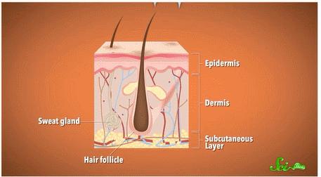 怎样可以去除纹身,怎么去除纹身