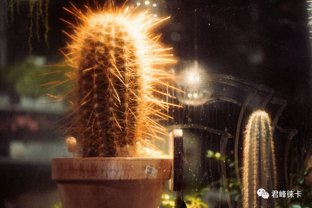 寰曞崱apo50mmasphf2,寰曞崱apo50-150mmf2