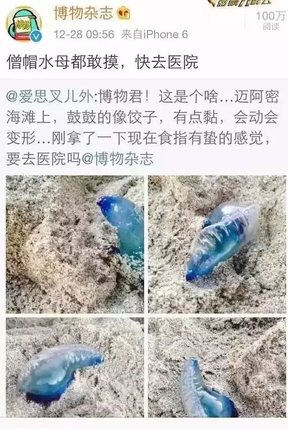 去厦门海滩玩有危险吗,在海边看到什么东西就要赶紧跑