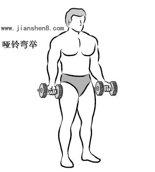 新手哑铃健身计划一周表,哑铃健身计划及标准动作图