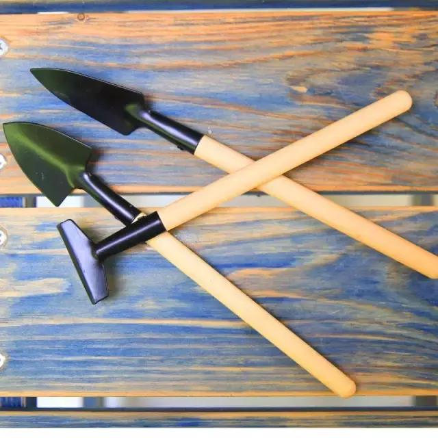 多肉专用工具大全,种多肉工具铲子