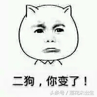 酷狗音乐蓝牙耳机测评,酷狗音乐蓝牙麦克风测评