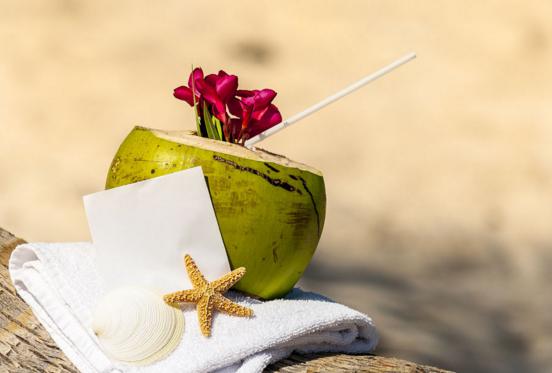 椰子的营养成分和功效,椰子的营养价值及功效参考文献