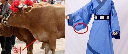 鲁迅胡子怎么留,鲁迅胡须怎么留