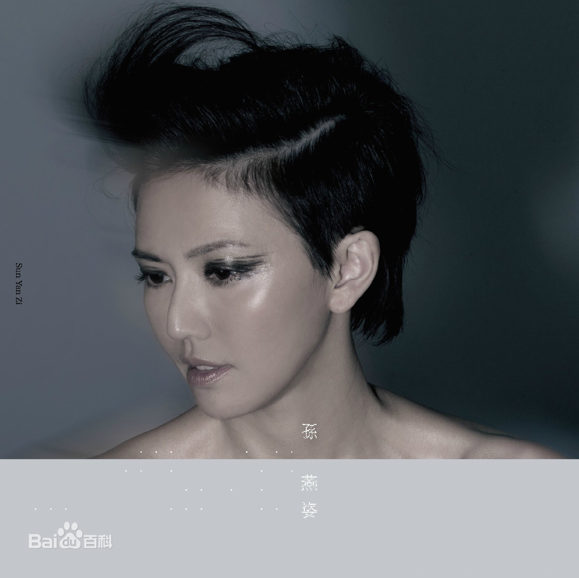 孙燕姿的传奇一生,孙燕姿黄金时代