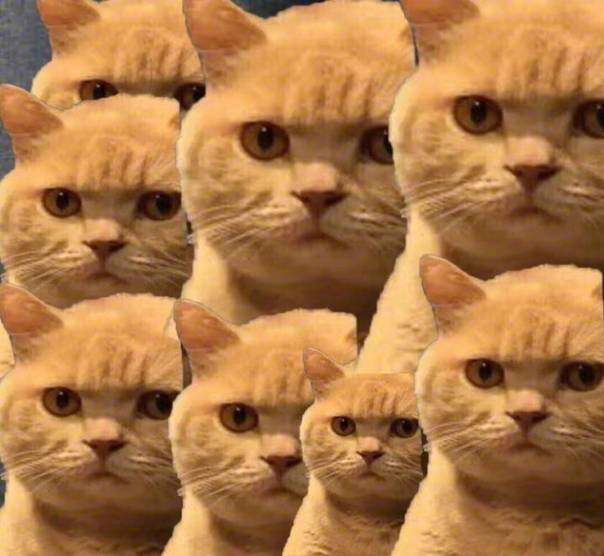 服了!路虎司机嫌春节吃太多为减肥辟谷5天,饿晕后撞车!