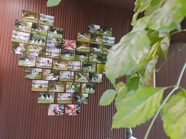 圣珈瑜伽理疗馆门票,圣珈瑜伽私教一对一