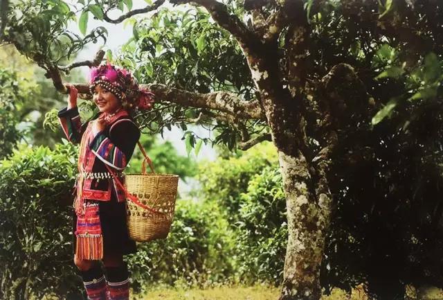 在美丽的西双版纳领略异域风情,美丽的西双版纳体验异国风情