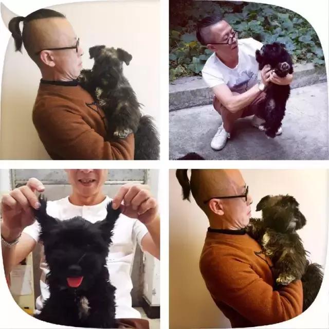 长沙宠物蜥蜴品种有哪些,别人家养的宠物蜥蜴食肉动物