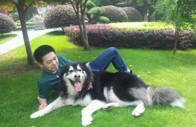 长沙宠物蜥蜴品种有哪些,别人家养的宠物蜥蜴食肉动物