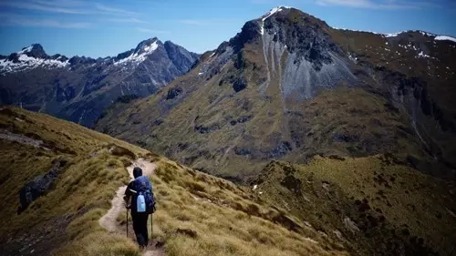 新西兰的另一面,久违的新西兰