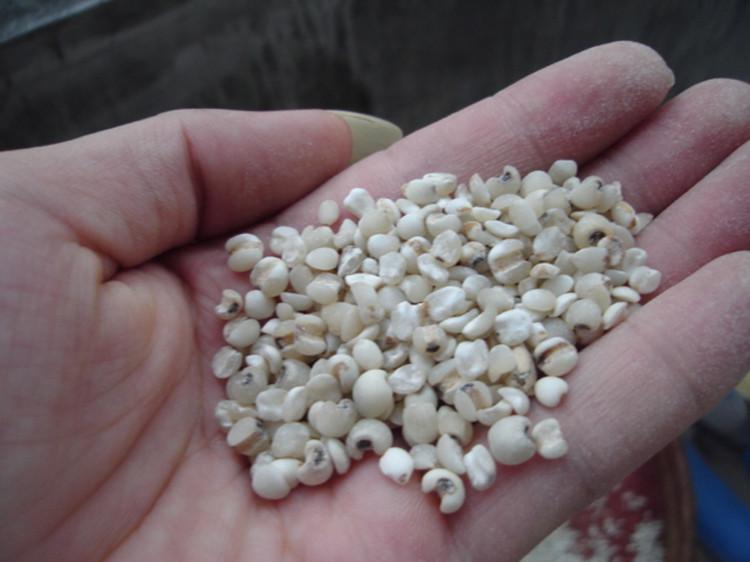 体内湿气危害太大,有多少个雷区被你踩到了