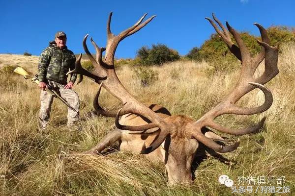 全球最具吸引力的狩猎圣地，加入高人一等的国际猎人组织！