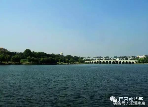 南京梅花赏花游记,好玩的摘草莓胜地打卡