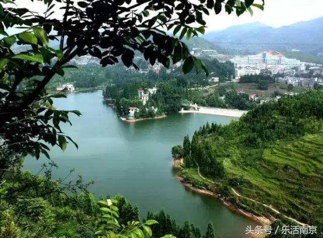 南京梅花赏花游记,好玩的摘草莓胜地打卡