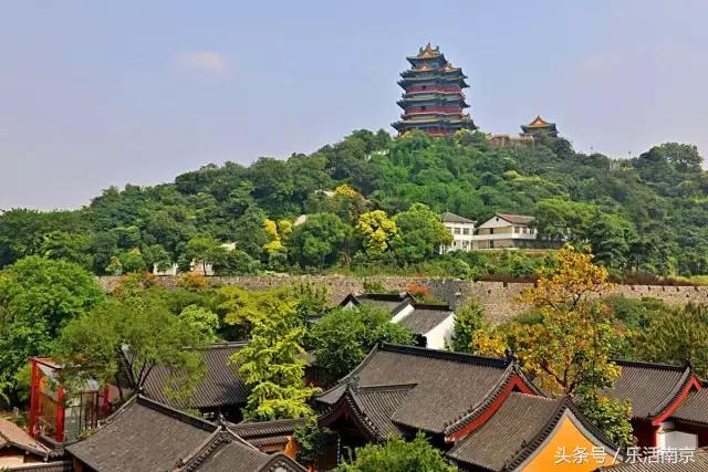 南京梅花赏花游记,好玩的摘草莓胜地打卡