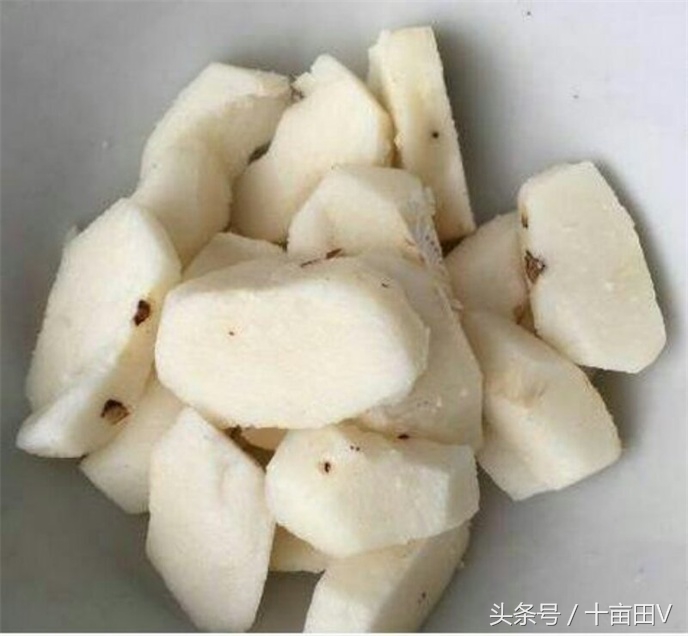 和荸荠口感相似的水生植物,荸荠农业种植