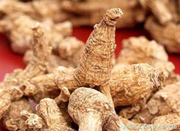 长白山西洋参和人参区别,长白山人参真有那么神奇的功效吗