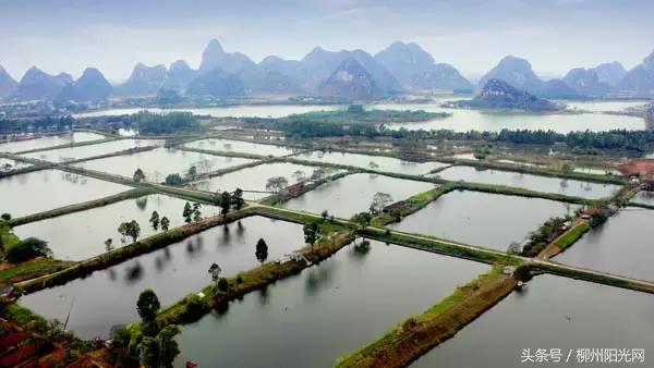 柳州附近农庄适合小孩玩,柳州周边农庄场地推荐