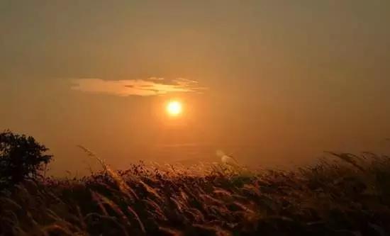 义乌这下要在全世界出名了！