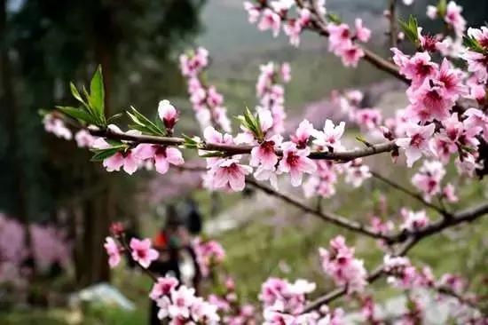 义乌这下要在全世界出名了！