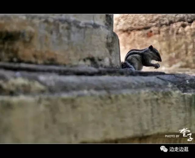 印度看病大师,印度医生看病视频