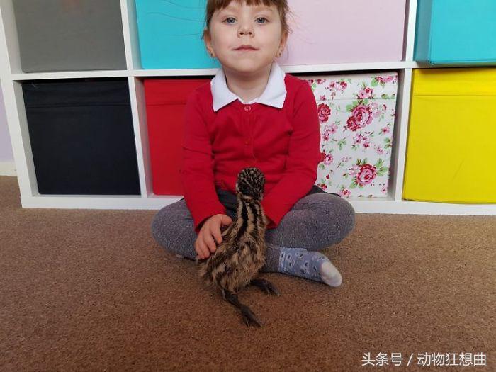 女孩买回一只鸡蛋,女子买3箱鸡蛋出一只小鸡