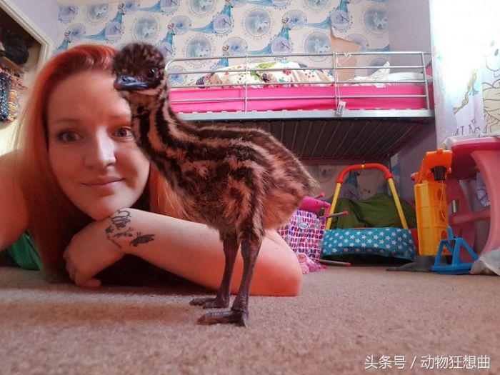 女孩买回一只鸡蛋,女子买3箱鸡蛋出一只小鸡