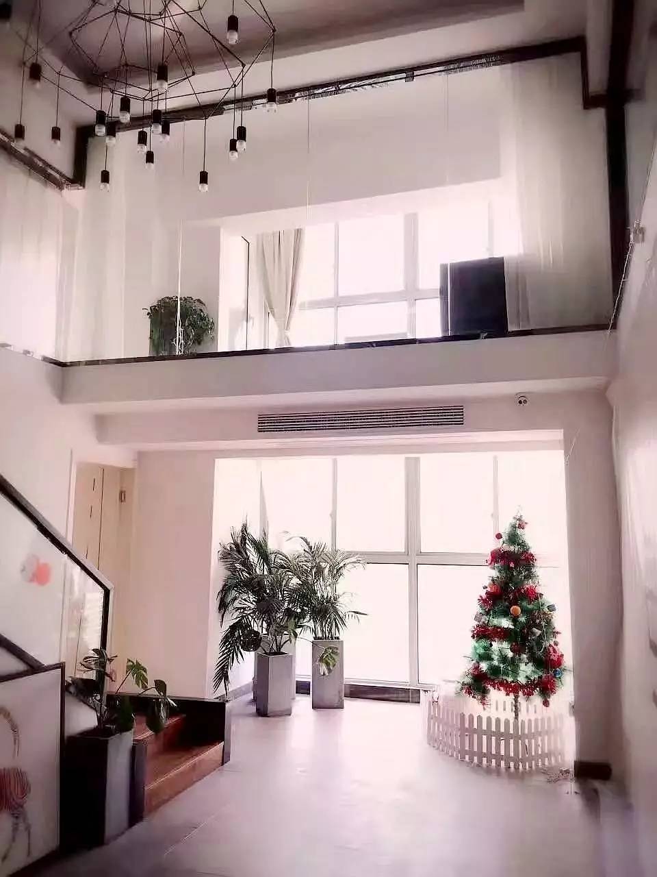 常州这间工作室有个性，有病治病，没病还能治不开心