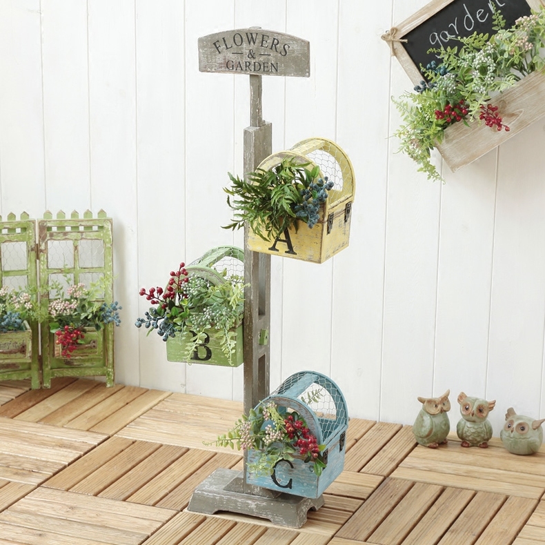 适合放大花的花架有哪些,花架用什么花比较好