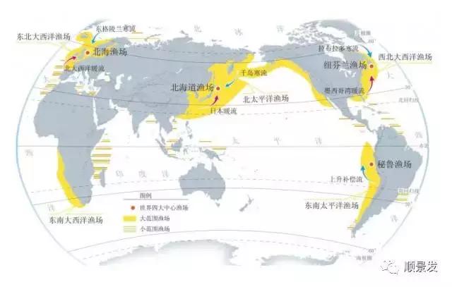 天下渔仓有机鱼,天下渔仓椒江店地址