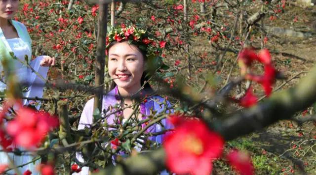 成都海棠花景区,西南最大的海棠花基地在哪里