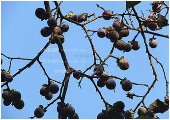 男人期待女人爱你,男人对女人的爱是永远的牵挂