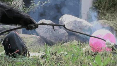 妹子你知道吗？衣服破了个口子，快点回去补补吧！