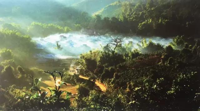 在美丽的西双版纳领略异域风情,美丽的西双版纳体验异国风情