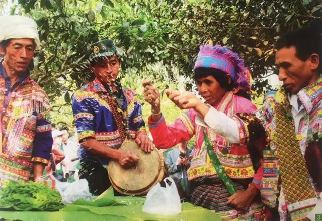 在美丽的西双版纳领略异域风情,美丽的西双版纳体验异国风情