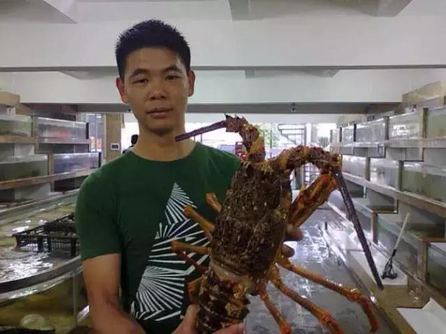 长沙宠物蜥蜴品种有哪些,别人家养的宠物蜥蜴食肉动物