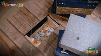 国产良心综艺完整版,口碑爆棚这部良心国产剧